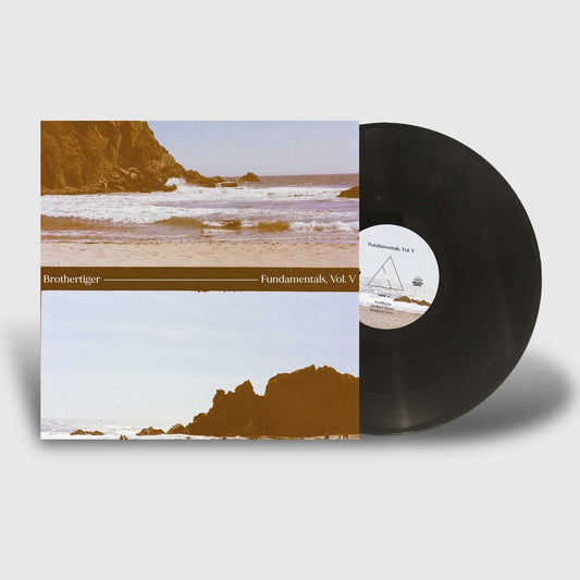 Brothertiger "Fundamentals, Vol. V" LP