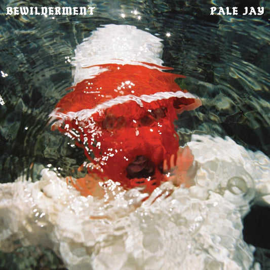 Pale Jay "Bewilderment" LP