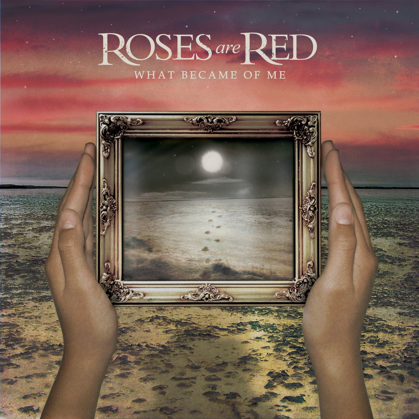 Roses Are Red "What Became Of Me" LP