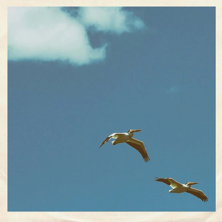 Sim Nagai "Palm Dreams" EP