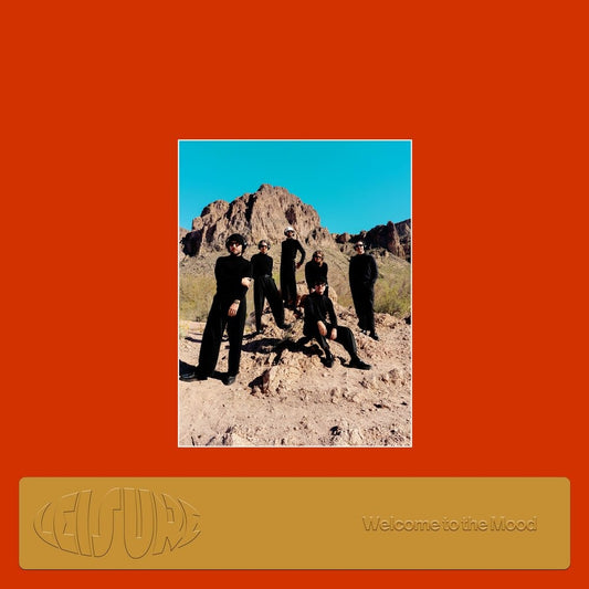 Leisure "Welcome To the Mood" LP [Orange]