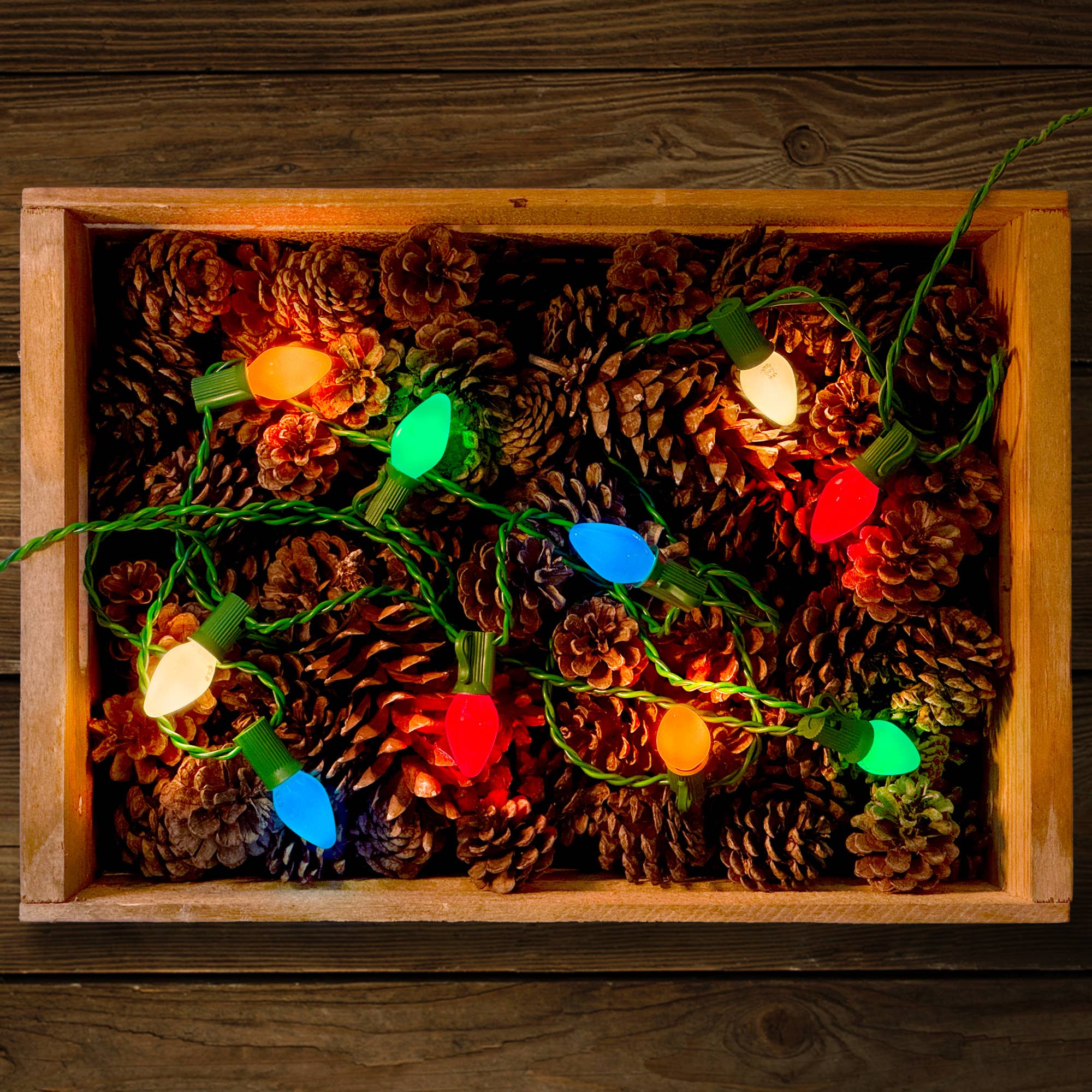 Tru-Tone Vintage Style LED Christmas Lights - C7 10-Light Set