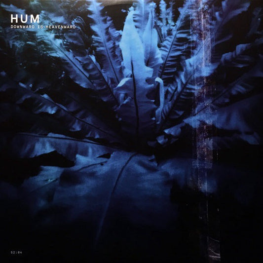 HUM "Downward Is Heavenward" 2LP [Clear Yellow]