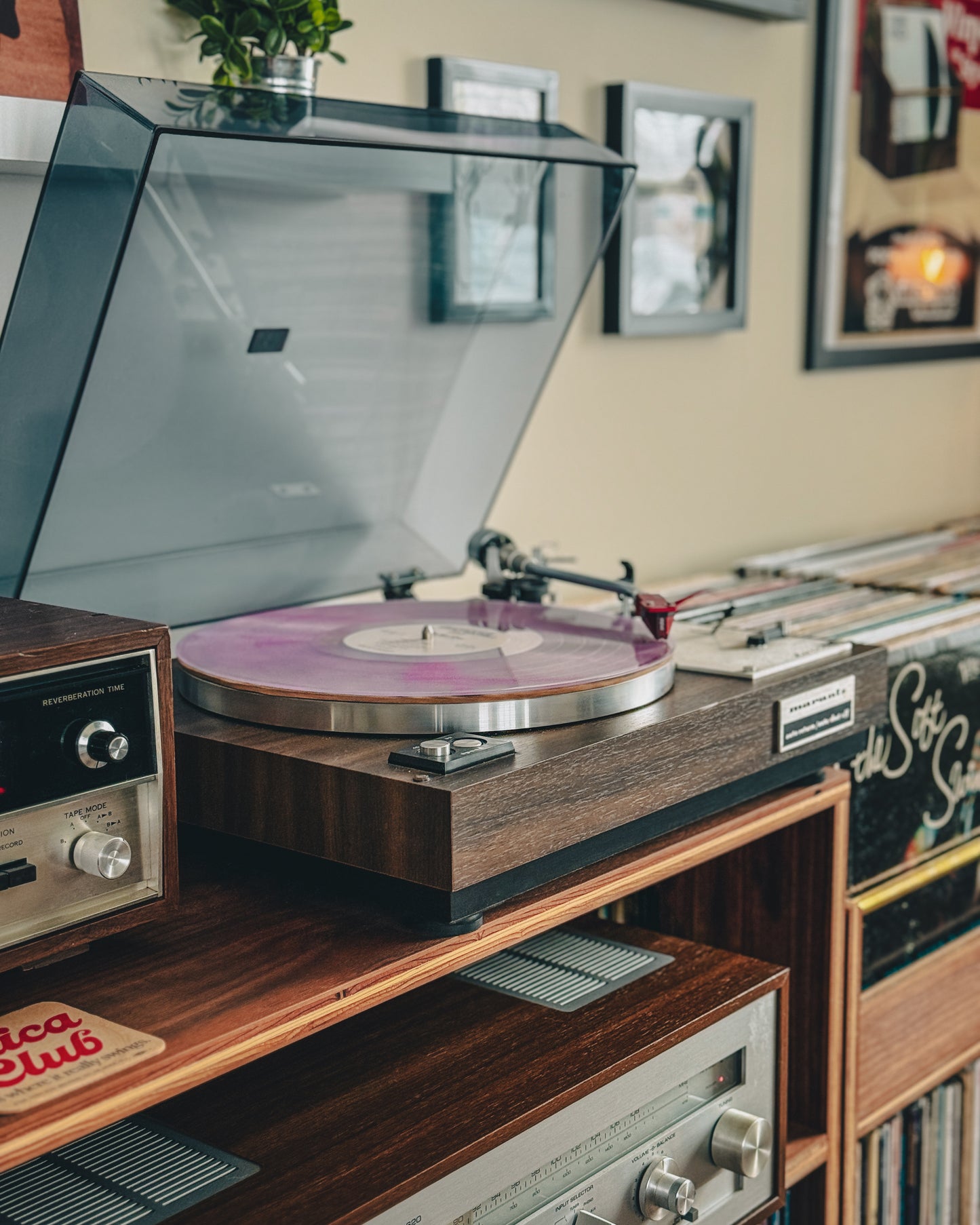 The Sha La Das "Your Picture" LP [Purple Haze, Boro Records-Exclusive]