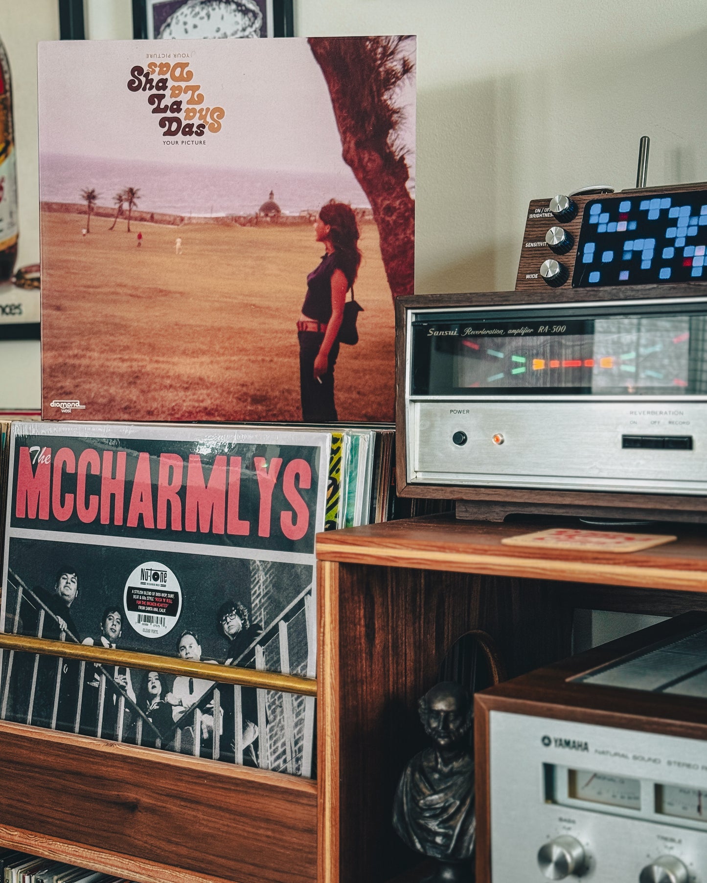 The Sha La Das "Your Picture" LP [Purple Haze, Boro Records-Exclusive]