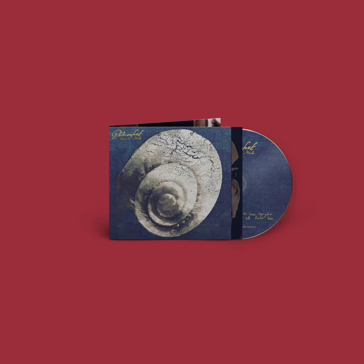 Snail Mail "Ricochet"