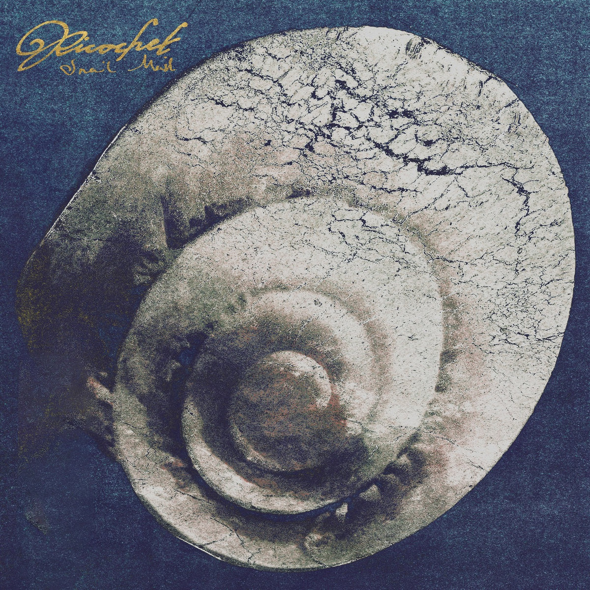 Snail Mail "Ricochet"