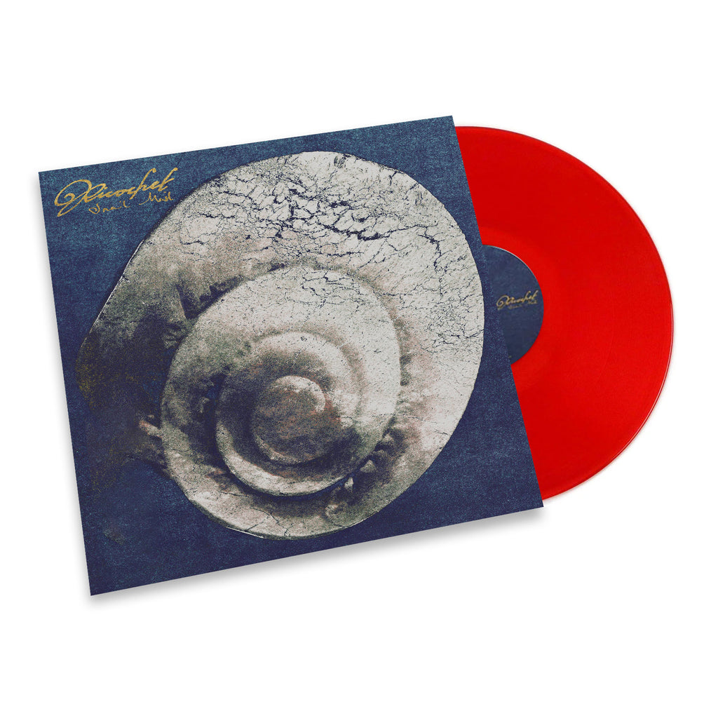 Snail Mail "Ricochet"